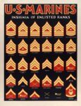 1939-45 U.S.Marines Insignia Of Enlisted Ranks