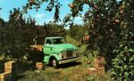 1964 GMC B-7000 Flatbed Truck