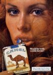 1974 Would he walk a mile for me. Camel