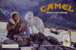 1981 Camel. Where a man belongs (8)