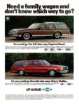 1981 Chevrolet Caprice Diesel & Chevy Malibu. Need a family wagon and don't know which way to go
