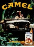 1984 Camel. Der Weg lohnt sich