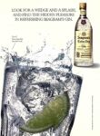 1991 Look For A Wedge And Splash, And Find The Hidden Pleasure In Refreshing Seagram's Gin