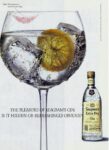 1992 The Pleasure Of Seagram's Gin. Is It Hidden Or Refreshingly Obvious