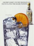 1993 One Part Sunset. One Part Seagram's Gin. Yes, You'll Find The Hidden Pleasure
