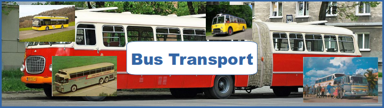 Bus Transport