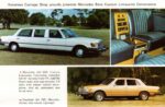 1977 Mercedes-Benz Custom Limousine Conversion