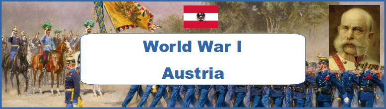 WW1 Austria Propaganda Collection