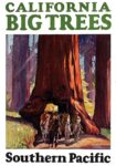 1928 California Big Trees. Southern Pacific