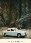 1959 Jaguar 3.4 Sedan. For The Family Man Who Loves Sports Car Performance