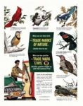 1948 When you see these birds the 'Trade-Marks' Of Nature identify them for you. When you buy gasoline... Ethyl