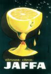 1956 sitruuna - citron - Jaffa