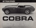 1963 Shelby Cobra. Striking!