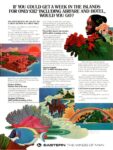 1975 If You Could Get A Week In The Islands For Only $312 Including Airfare And Hotel, Would You Go. Eastern