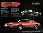 1980 Chevrolet Camaro Sport Coupe & Z28