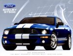 2007 Ford Shelby GT500
