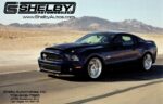 2009 Shelby Mustang GT500
