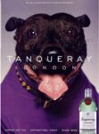 1999 Tanqueray London