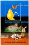1939 Visit Your Museums. Natural History Museum