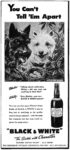 1946 You Can't Tell 'Em Apart. 'Black & White'