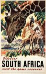 1950 Discover South Africa, visit the game reserves