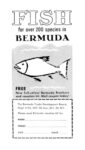 1959 Fish for over 200 species in Bermuda