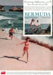 1962 Swimming or Sightseeing ... you'll have the time of your life. Bermuda