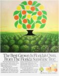 1974 The Best Grown Is Florida's Own. From The Florida Sunshine Tree