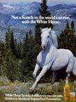 1977 Not a Scotch in the world can run with the White Horse