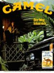 1981 Camel. Der Weg lohnt sich