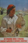 1954 Veterinary science and practice helps to raise and preserve animals