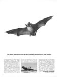 1963 The Most Sophisticated Blind Landing Apparatus In The World. Hawker Siddeley