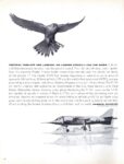 1963 Vertical Take-Off And Landing - No Longer Strictly For The Birds. Hawker Siddeley