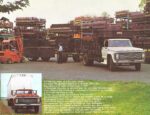 1981 Ford Trucks in Argentina
