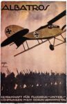 1914 Albatros