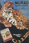1914 Murad The Turkish Cigarette. Everywhere - Why
