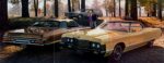 1971 Mercury Meteor