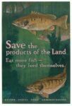 1918 Save the products of the Land. Eat more fish - they feed themselves