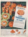1951 Florida Tangerines are back!