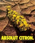 1998 Absolut Citron. Absolut Vodka