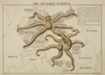 1915 The Prussian Octopus