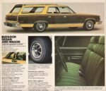 1974 AMC Matador Station Wagon
