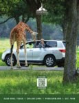 2024 Forril Rim Wildlife Center. Glen Rose, Texas